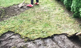Снятие дерна старого газона в Топках – от 524 руб. | 2Землекопа-Тпк